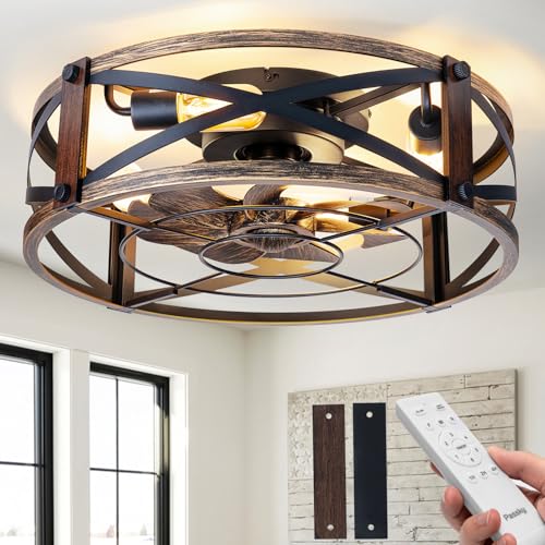 Passky 20-Inch Black Brushed Gold Caged Ceiling Fan with Lights & Remote