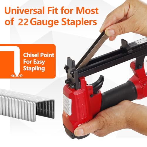 71 Series 22 Gauge 3/8" Crown 304 Stainless Steel Staples 2240-Count 3 Sizes for 71 Series Staple Gun, Includes: 5/16", 3/8", 1/2", Assortment Combo kit