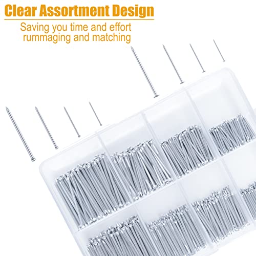 700Pcs Galvanized Nails & Mini Claw Hammer Kit for Hanging & DIY Projects