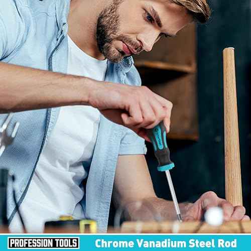 Amartisan 10-Piece Magnetic Screwdrivers Set, 5 Phillips and 5 Slotted Tips Professional Cushion Grip Screwdriver Set 2pcs Portable Multifunction Key Mini Screwdriver (Blue)