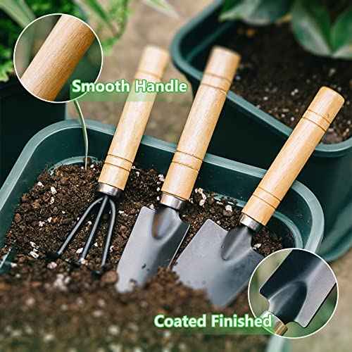 Small Garden Tool Set, 6 Pieces Iron Gardening Kit Including Hand Shovel, Transplant Shovel and Hand Rake with Wood Non-Slip Handle Perfect for Plant Lovers
