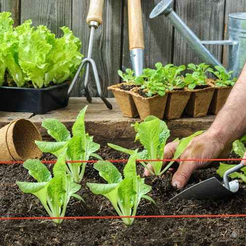 Reloadable Line Reel,Mason Line String Line,600 Ft Length Nylon Twine,Nylon String for Gardening Or Masonry Tools,Twine String for Gardening,Yellow