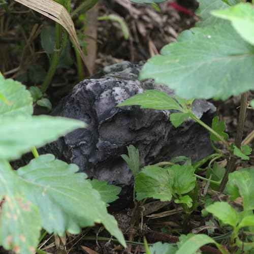 Fake Rock Key Hider, Hide a Spare Key for Outside, Hidden Keys Storage for Outdoor Garden (Style A)