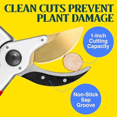 Red Haus & Garten ClassicPRO 8.5" Titanium Bypass Pruning Shears - Professional Garden Clippers