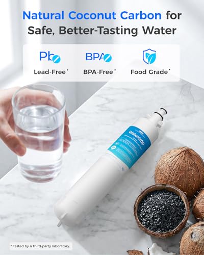 Waterdrop WD-F19C Water Filter Replacement Pack for GE RPWFE - 2 Pack