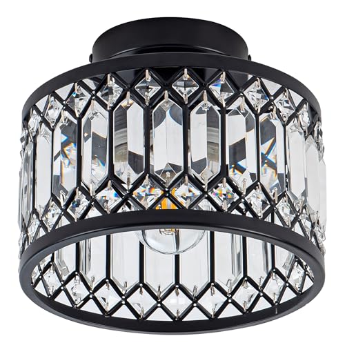 Rpzloila 9-Inch Black Crystal Ceiling Light Fixture Modern Semi-Flush Mount