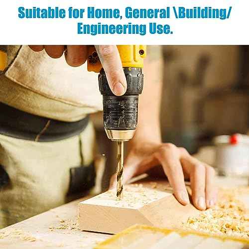 19 PCS Hex Shank Drill Bit Set, 1/16"-1/4" HSS Titanium Coated Twist Bits for Metal Wood Plastic, 4241 High Speed Steel Small Quick Change Drill Bits with Holder