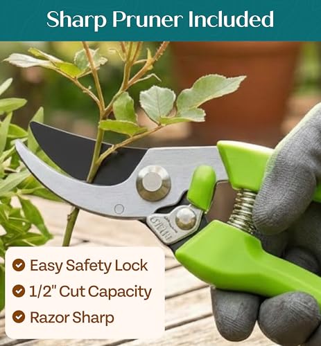 Heavy Duty Gardening Tools Set - Ergonomic & Rust-Proof Garden Gift for Men Women - Standard