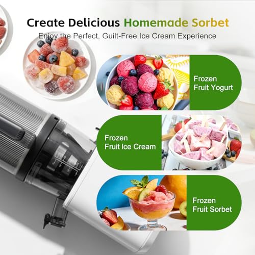 Sorbet Attachment for Nama J2 Ice Cream Maker – 15-Year Support