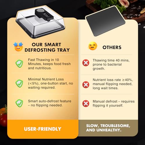AuntyFey Black Rapid Defrosting Tray for Frozen Meat – Thawing Plate