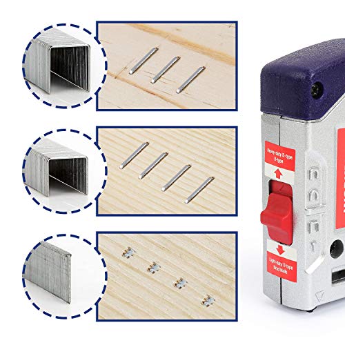 Heavy Duty Galvanized Staples & Brad Nails Kit for Upholstery & Carpentry - 7500 Count