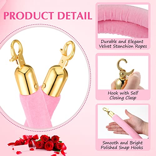Riakrum 4 Pieces Pink Velvet Stanchion Rope 5 Feet Velvet Ropes with Gold Clasps for Party Hotels Wedding Movie Theaters Grand Openings Crowd Control Barrier Supplies