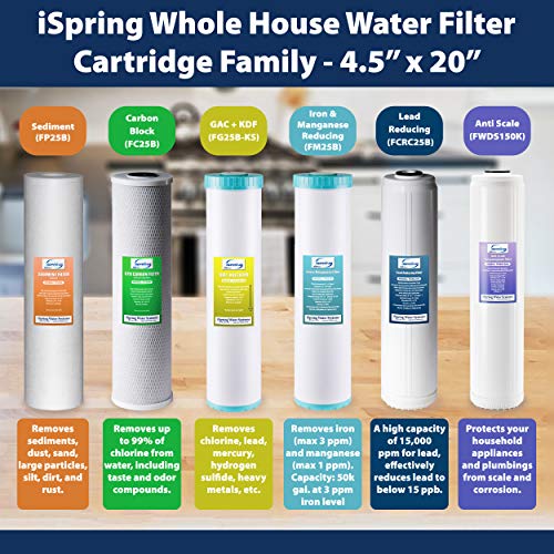 iSpring FC25B 20x4.5 Inch Whole House Water Filter - Chlorine Removal