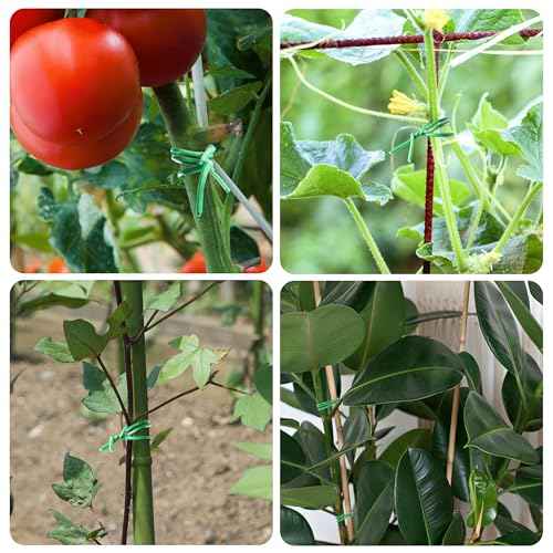 YMHB Twist Ties, 656Feet (200m) Green Garden Plant Ties with Cutter, Green Twist Ties for Gardening Tomatoes Vines Tie Garden Ties, Plant Support and Office Home Cable Organizing