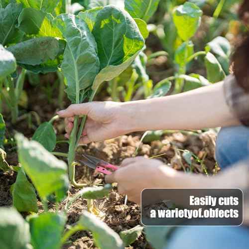 4PCS Mini Bonsai Pruning Scissors, Small Pruner Shears Bud Leaves Trimmer Stainless Steel Gardening Clippers for Flower Bud and Bonsai Trimming Pruners Trimmers for Sewing Gardening(Colorful)