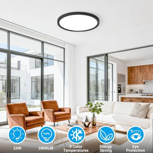 Fairdeer Black 12-Inch LED Flush Mount Ceiling Light 5 Color Temperatures 2-Pack