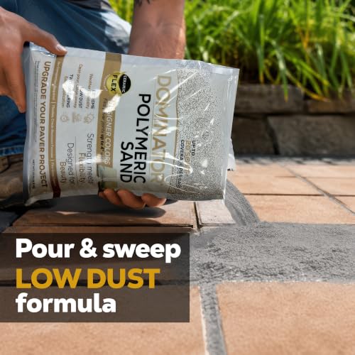 10 Pound Titanium Gray DOMINATOR Polymeric Sand with Ceramic Flex Technology for Paver Joints