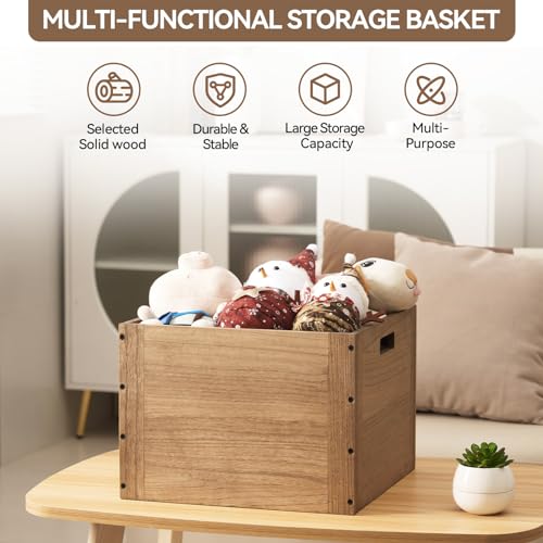 KIRIGEN Modular Open Storage Cube F26-DBR