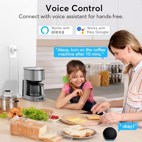 EIGHTREE WiFi Smart Plug Outlet 2-Pack with Alexa & Google Compatibility - Model 15A