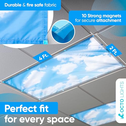 OCTO LIGHTS 4-Pack Magnetic Cloud Fluorescent Light Covers Classroom Safety