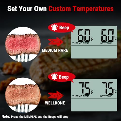 TempPro Light Silver Large LCD Digital Meat Thermometer for Cooking & Smoking