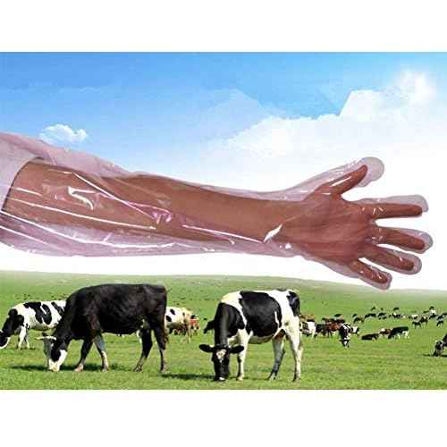50 Pcs Insemination Long Gloves Disposable Plastic Film Gloves, Veterinary Insemination Rectal Long Gloves 35 inch Long for Livestock Gastrointestinal Examination