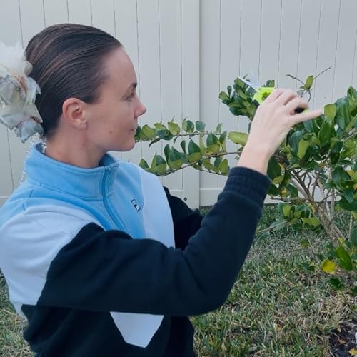 BEoffer 4-Pack 6.5 Inch Stainless Steel Pruning Shears - Orange Green