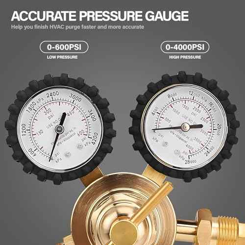 Nitrogen Regulator with 0-400 PSI Delivery Pressure, 60" Hose CGA580 Inlet Connection and 1/4'' Male Flare Outlet Connection