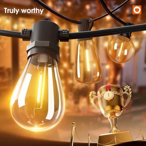 addlon 50FT Waterproof Dimmable Outdoor String Lights with 16 Shatterproof LEDs