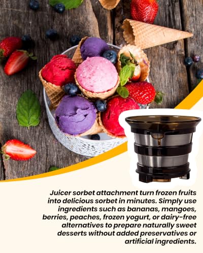 J2 Sorbet Attachment for Nama J2 Cold Press Juicer - Frozen Dessert Accessory