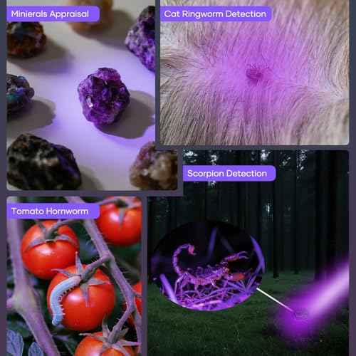 1 Mode UV 365nm Blacklight Flashlight LED Ultraviolet Flashlights Portable Uv Light Wood's lamp Detector for Dog Urine Pet Stains, Anti-counterfeiting and More - Powered by Single AA Battery