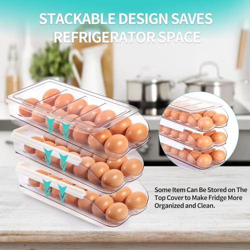 RoskDeewat 28-Egg Automatic Rolling Fridge Egg Holder, 2-Tier with Lid, BPA-Free