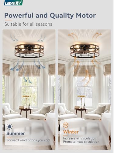 LEDIARY 20-Inch Black & Gold Caged Low Profile Ceiling Fan with Light & Remote
