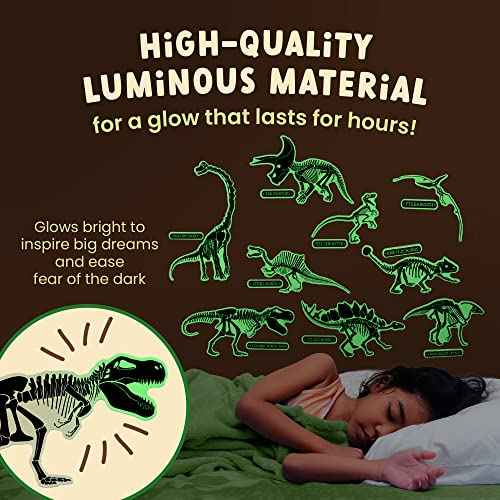 Glow in The Dark Dinosaur Fossil Wall Stickers - 10 Large Bright Wall Decals for Bedroom Walls and Ceilings - Glowing Decorations for Boys Room and Girls Room