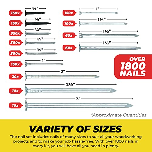 Qualihome Nail Assortment Kit - 1800+ Multi-Size Nails for DIY & Professional Projects