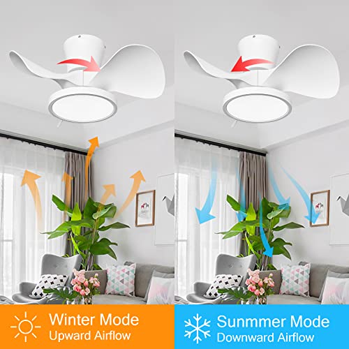 ocioc White 22-Inch Ceiling Fan with LED Light Remote Control for Kitchen Bedroom