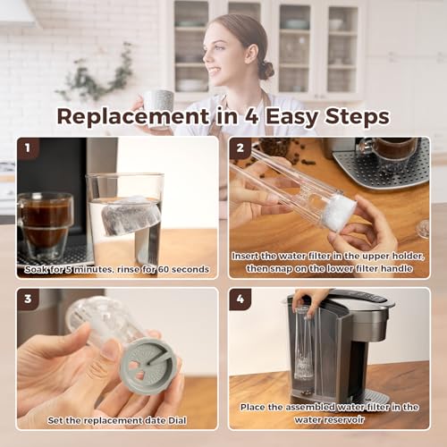 Geesta Premium 12-Pack Keurig Charcoal Water Filter Cartridges