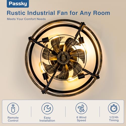 Passky 20-Inch Black Brushed Gold Caged Ceiling Fan with Lights & Remote