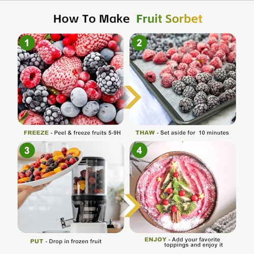 Sorbet Attachment for Nama J2 Ice Cream Maker – 15-Year Support