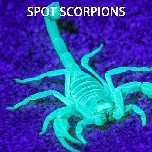 Mini UV LED Keychain Flashlight, Compact 395nm UV Blacklight, Portable Pocket UV Flashlight for Detecting Stains, Scorpions, and Fluorescent Elements - 6 Pack, Purple