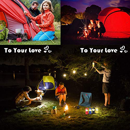LED Lantern Mini 4 Pack, Camping Lanterns with 12 AAA Battery Operated/Portable & Collapsible, LED Camping Lantern for Kids/Hurricane/Camping/Emergency/Power Outage
