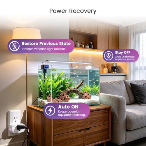 MOOEGG 10A WiFi Smart Plug Compatible with Alexa & Google Home - Smart Home Outlet, Voice Control, App Control, Timer, Power Memory, Night Mode