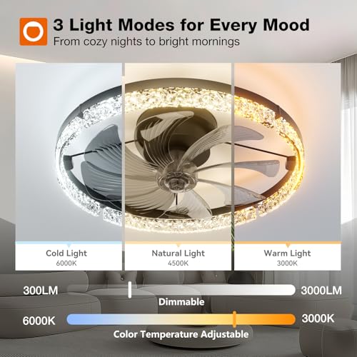 addlon 20-Inch Low Profile Ceiling Fan with Lights & Remote, Black - Dimmable & Reversible