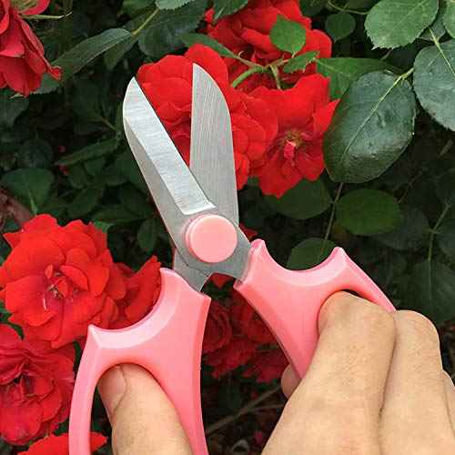 Garden Pruning Shears Scissors with Comfort Grip Handle, Premium Steel Professional Floral Scissors, Perfect for Arranging Flowers, Pruning, Trimming Plants, Gardening Tool (Pink)