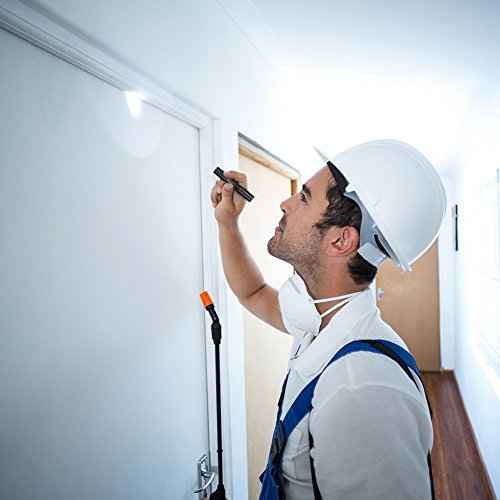 RISEMART Super Small Mini Flashlight AAA 100 Lumens Ultra Bright LED Pen Light Pocket Clip Tactical Torch Lamp(3.5")