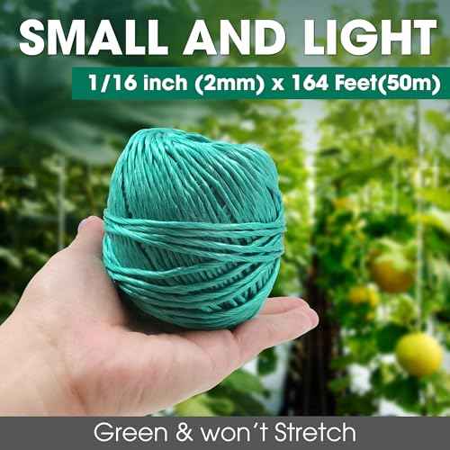 Polypropylene Twine - 5/64" x 164Ft Thick, 164 Feet Long for Bundling, Packaging, Gardening and More, Green