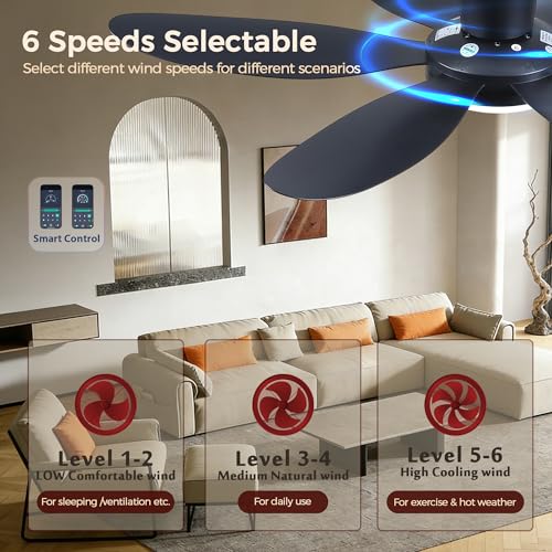 GJeg 42 Inch Black Ceiling Fan with Lights Remote Control Low Profile