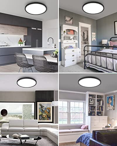 Hepside 2-Pack Black 12-Inch Dimmable LED Ceiling Light Fixtures, 3000K-6000K