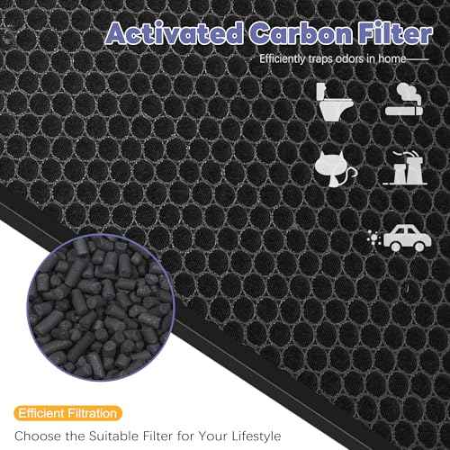 SPA-550A Filter Replacement Compatible With Rabbit Air BioGS 2.0 Air Purifiers, Model SPA-550A and SPA-625A, 2 True HEPA(H13) Filters + 2 Activated carbon Filters