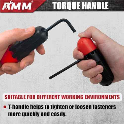 AMM 31-Piece Hex Key Wrench Set, Metric and SAE Allen Wrenches (0.028-3/8 inch, 0.7-10 mm) L Shape Allen Keys, Chrome Vanadium Steel